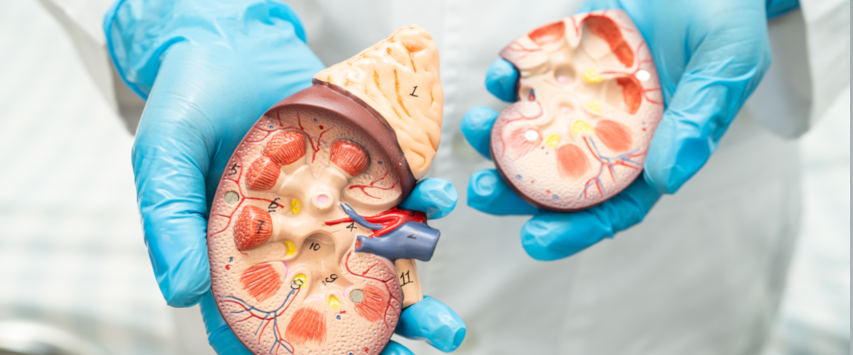 Urology in New Hope Infertility and IVF Center